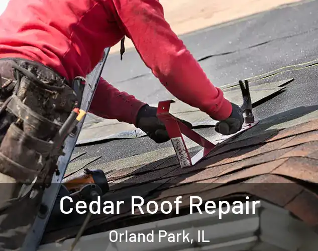  Cedar Roof Repair Orland Park, IL