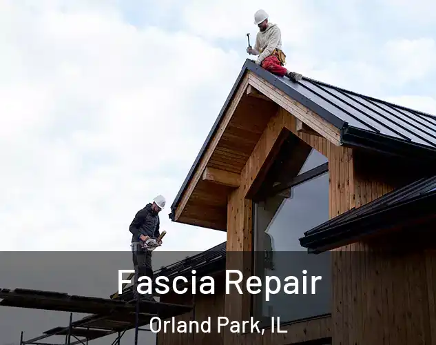 Fascia Repair Orland Park, IL