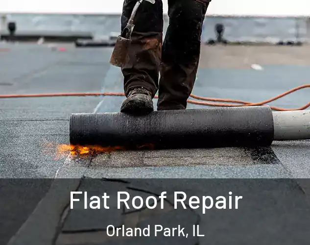  Flat Roof Repair Orland Park, IL