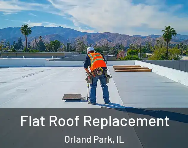  Flat Roof Replacement Orland Park, IL