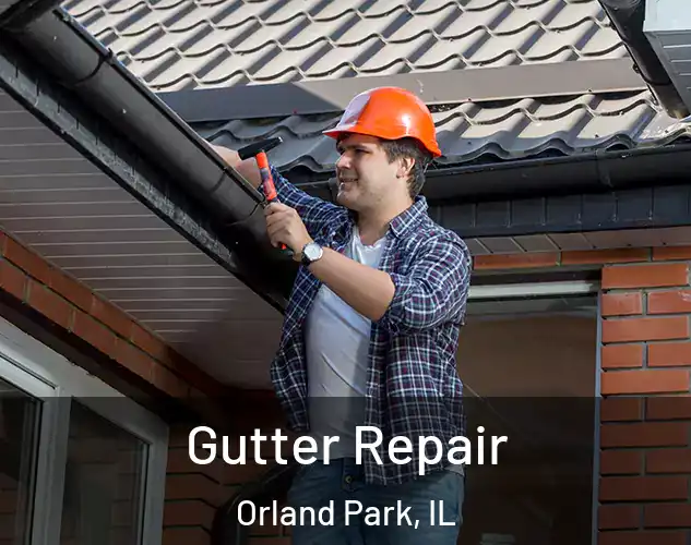  Gutter Repair Orland Park, IL