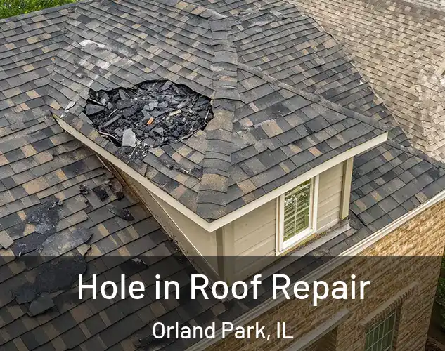 Hole in Roof Repair Orland Park, IL