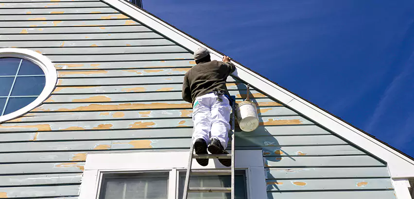 Professional Roof and Siding Repair Services in Orland Park, IL