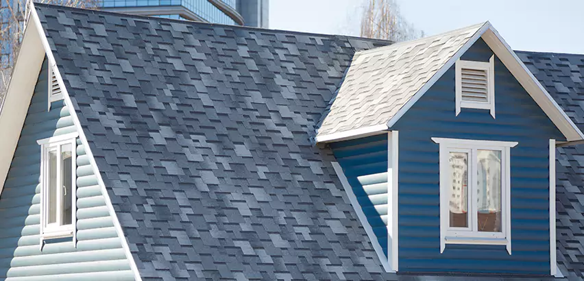 Shingle Roof Maintenance in Orland Park
