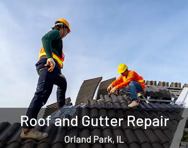  Roof and Gutter Repair Orland Park, IL