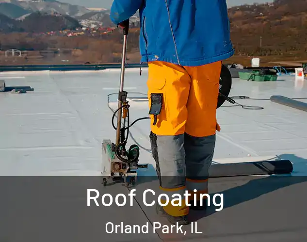  Roof Coating Orland Park, IL