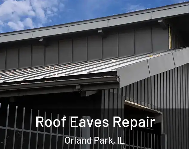  Roof Eaves Repair Orland Park, IL