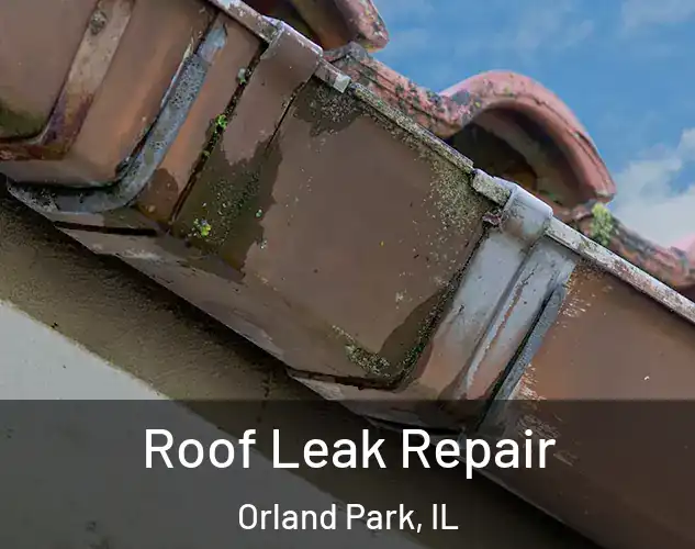  Roof Leak Repair Orland Park, IL