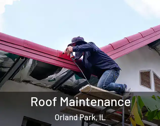  Roof Maintenance Orland Park, IL