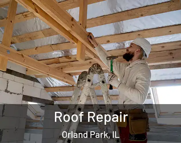  Roof Repair Orland Park, IL