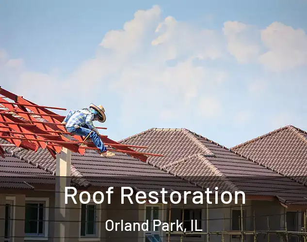  Roof Restoration Orland Park, IL