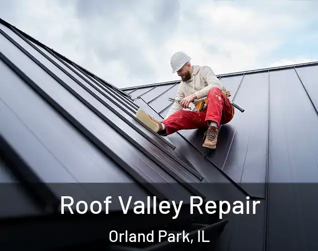  Roof Valley Repair Orland Park, IL