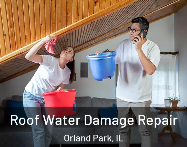  Roof Water Damage Repair Orland Park, IL