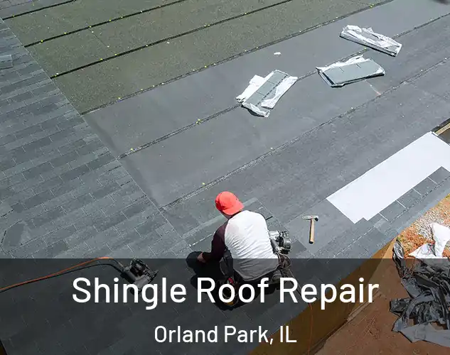  Shingle Roof Repair Orland Park, IL