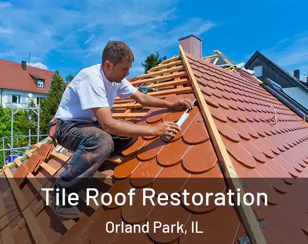  Tile Roof Restoration Orland Park, IL